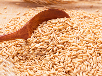 中国主产的燕麦和进口的燕麦有什么区别?
